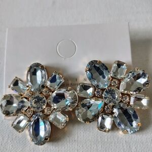 Dazzling Floral Clear Crystal Postback Cluster Earrings